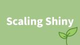 Damian Rodziewicz | Scaling Shiny to Thousands of Users | RStudio